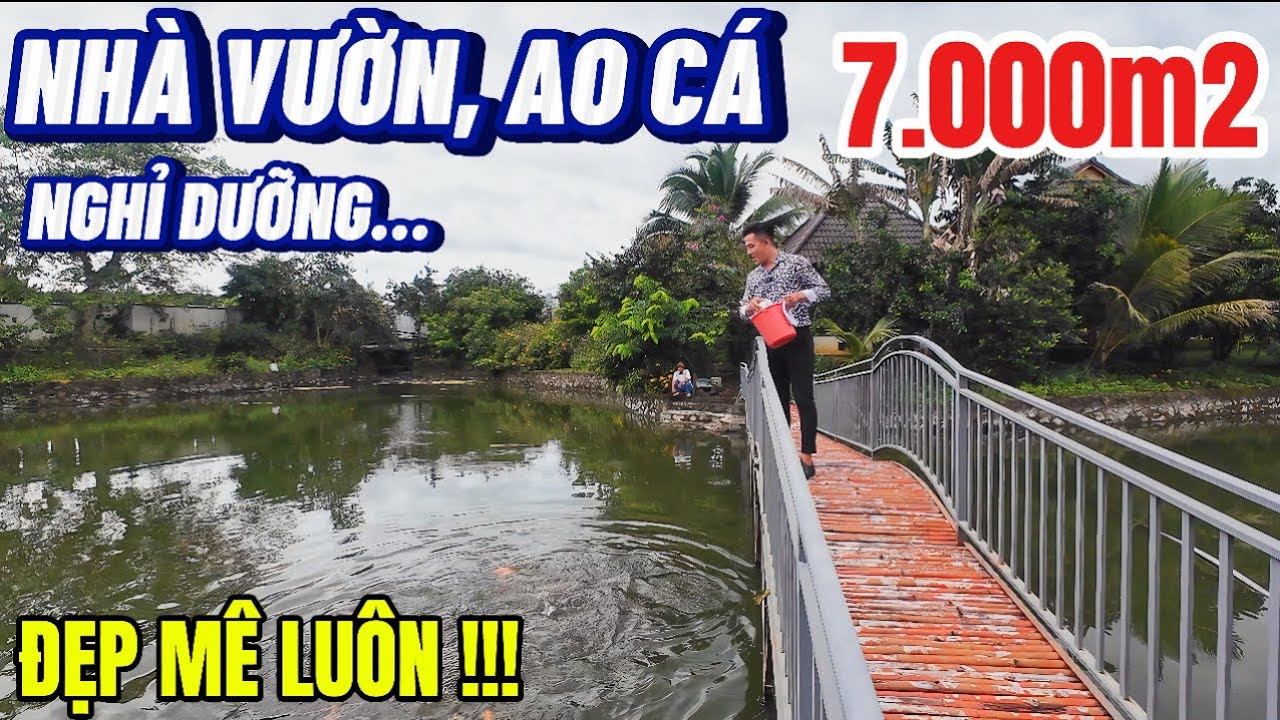 Nhà vườn ao cá bước chân vào đây là không muốn về vì quá đẹp tại đồng Nai 