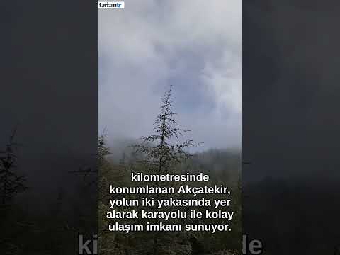 🌲 Akçatekir Yaylası’nda Serinlik ve Şenlik!