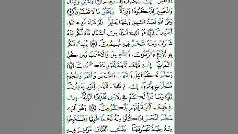 صفحة/٢٦٨/ رواية ورش عن نافع/ سورة النحل/ ابو النور الهادي