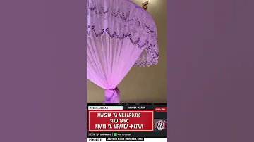 Guess What Millard Ayo Kapiga Kambi Mpanda Kwa Siku 5 Kwenye Gest Moja N Alipofika Mpanda Katavi 