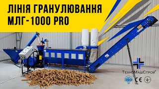 : ˳  "-1000 PRO"       ""