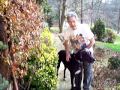 GREAT DANE DOG CHATTANOOGA TN GREAT DANE DOG CHATTANOOGA TN