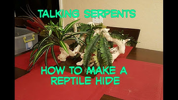 how to make a reptile hide
