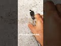 video biral ho giya hai ♥️