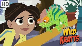 Wild Kratts - The Amazing Falcon Powers Suits | Kids Videos