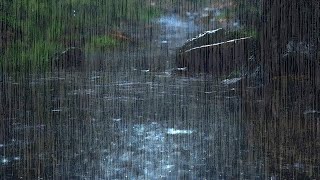 Heavy Rain Sounds & Thunder in Tropical Forest, The Best Moment of Relaxation, Sleep Therapy