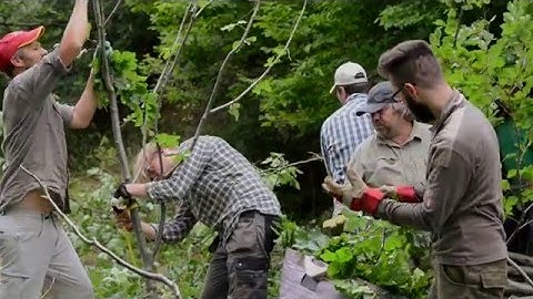 NCP TOWARDS SUSTAINABLE FOREST MANAGEMENT EN