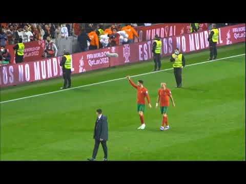 Video Hình ảnh đẹp Ronaldo và Pepe đi vòng quanh sân cảm ơn... - youtube