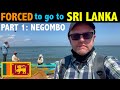 FORCED to go to Sri Lanka: COVID!