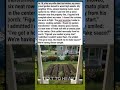 He thought his neighbor was coming to complain. Instead, he found a tomato plant. 🍅🌿😭