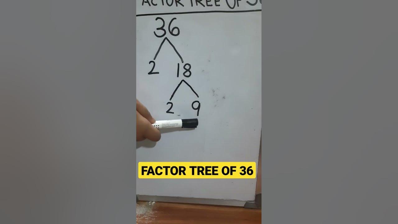 factor-tree-of-36-factorization-factortree-youtube