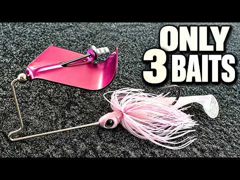The ONLY 3 Baits You Need To Catch Bass This Fall!