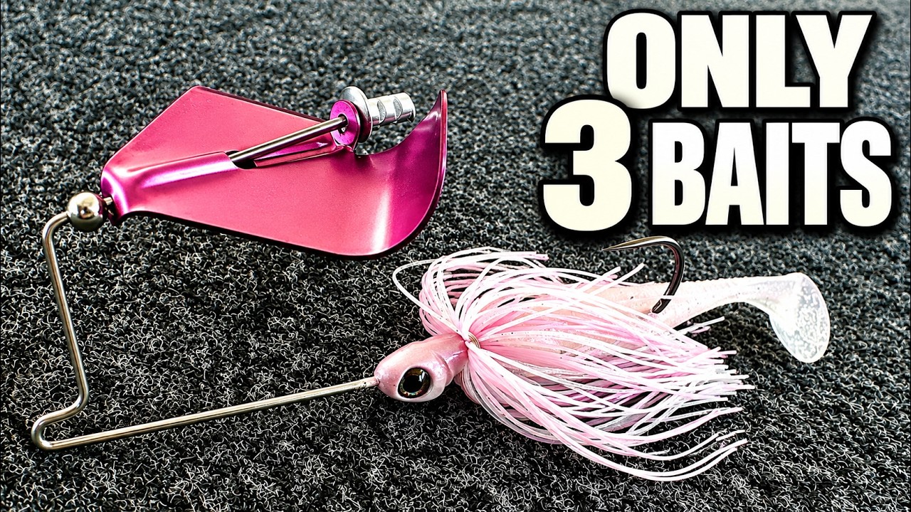 The ONLY 3 Baits You Need To Catch Bass This Fall!