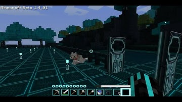 Fraps quality test 3.4.1 with minecraft and wolfies:)