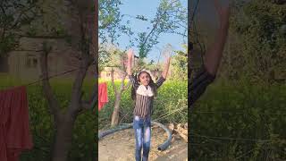 Kisi Disco Mein Jaaye |  Udit Narayan | Alka Yagnik | Bade Miyan Chote Miyan | 1998