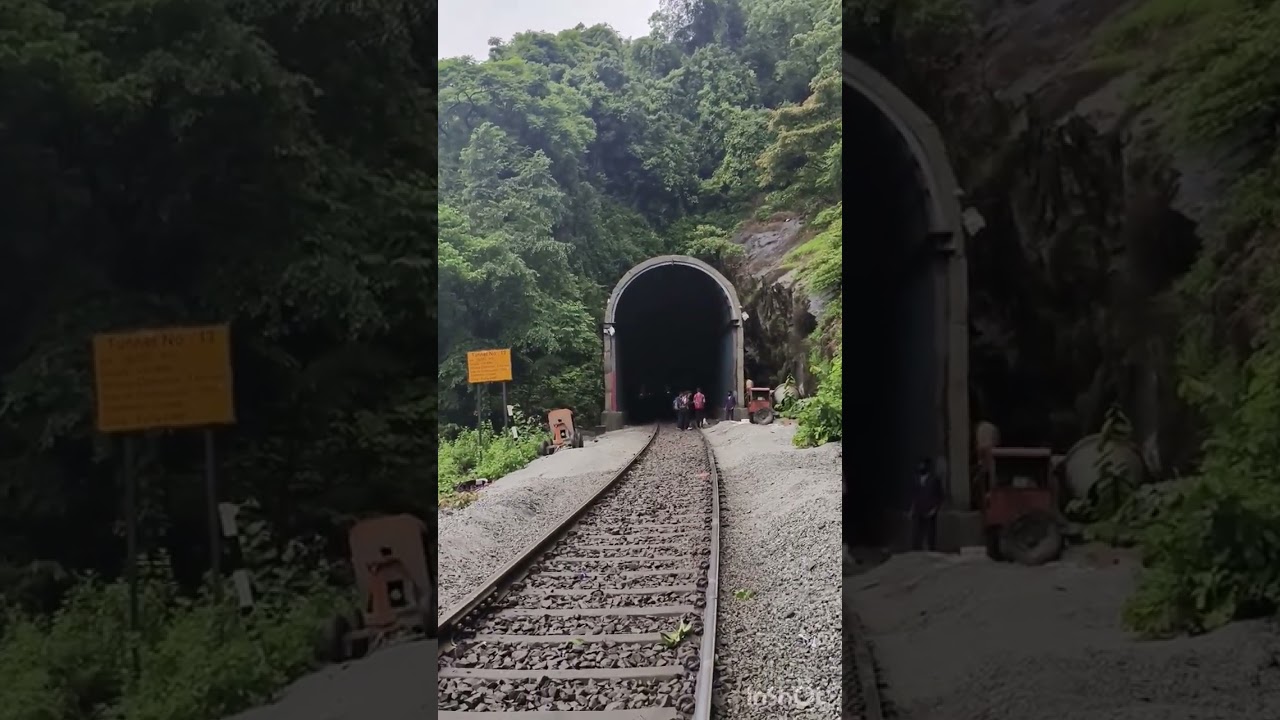 Real footage Forest Area/Shorts videos