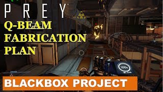 Prey: Blackbox project & Q Beam Fabrication plan