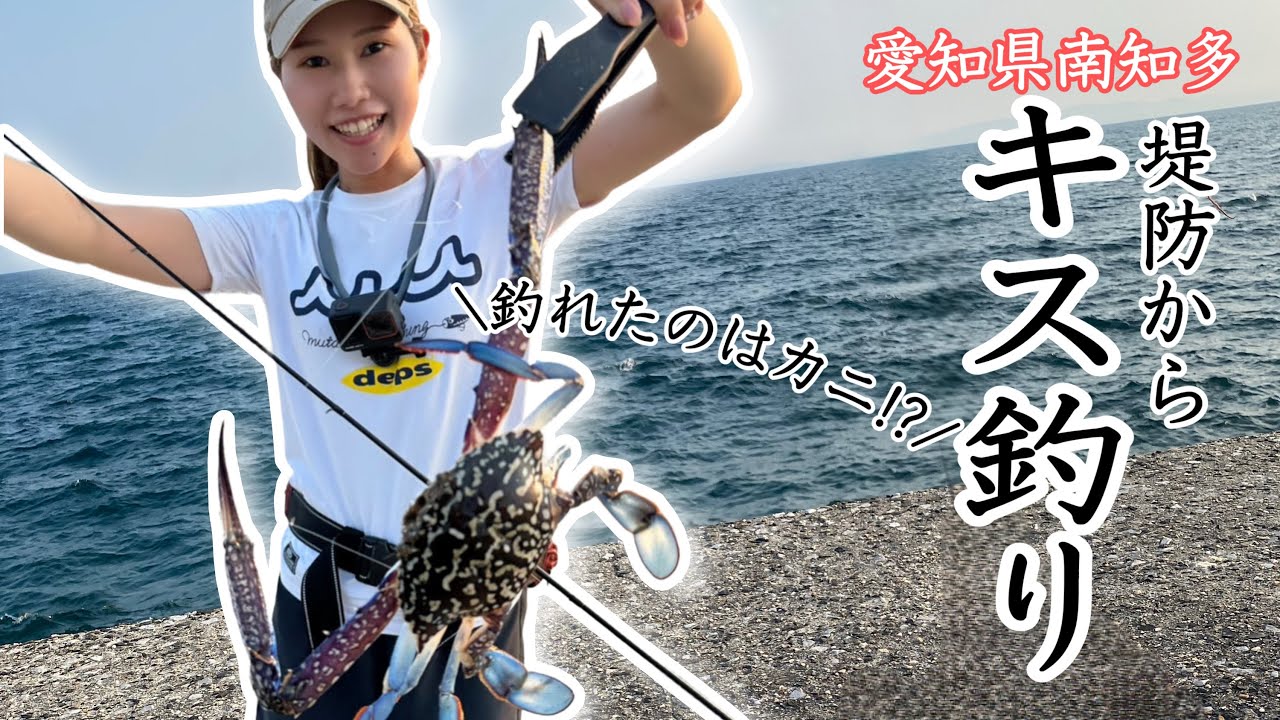 【愛知県南知多】内海新港で旬のキス釣りしてたら・・・まさかのカニ釣れた