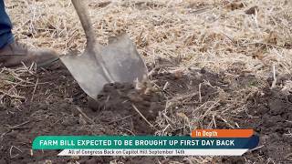 Senate to Reconvene: Farm Bill Debate Resumes