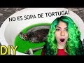 REMOJO DE VERDURAS PARA TORTUGAS! + CONCURSO