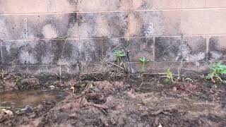 Water leak hd