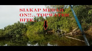 SIAKAP MERAH ON!!! MISI MEMUJUK IKAN BULAN (UL FISHING)