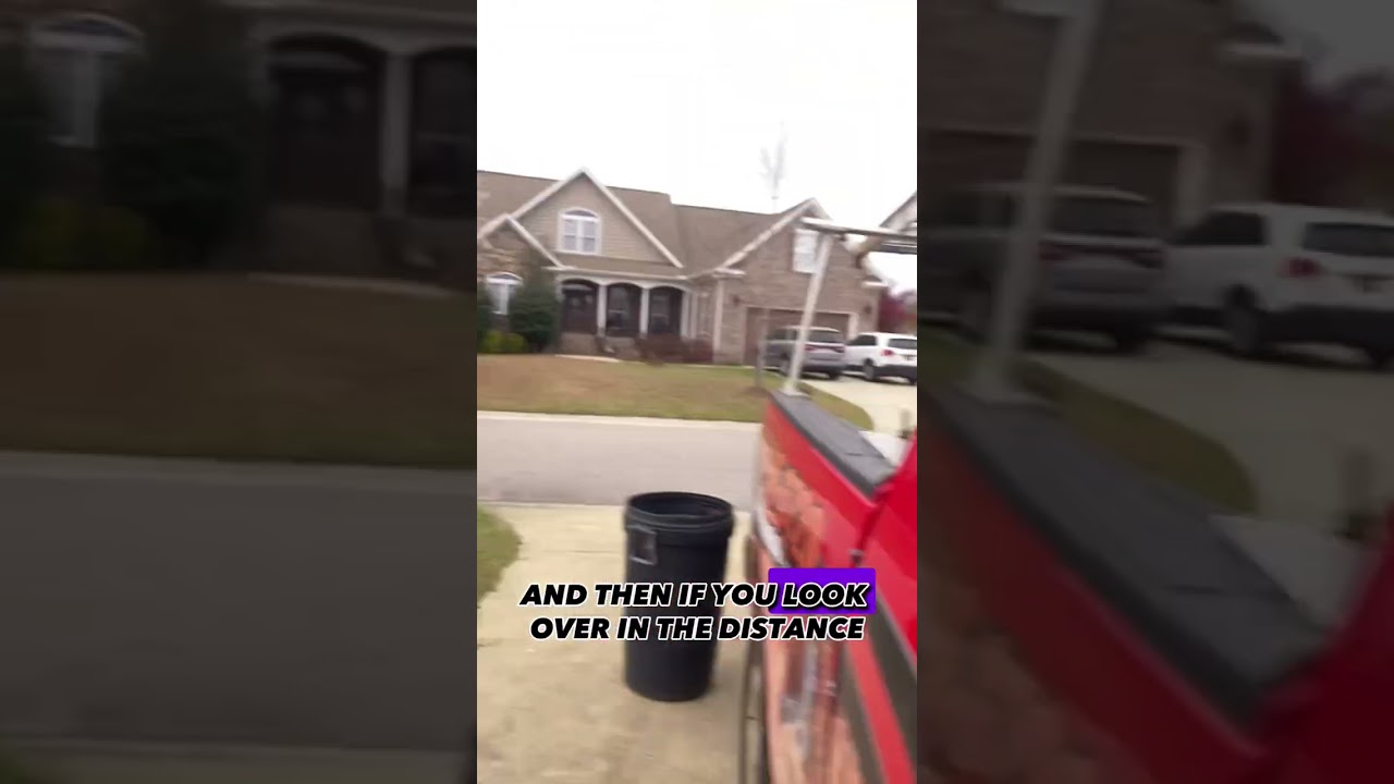 This little guy spots danger way before me! #falconry #kestrel #raptor #falcon #bird #animals