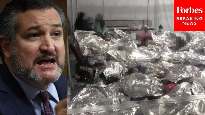 'They Were Taunting The Border Patrol Agents': Ted Cruz Recounts What He Saw On Border