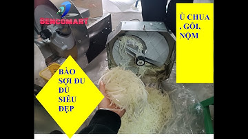 MÁY THÁI SỢI ĐU ĐỦ LÀM GỎI, BÀO SỢI ĐU ĐỦ Ủ CHUA
