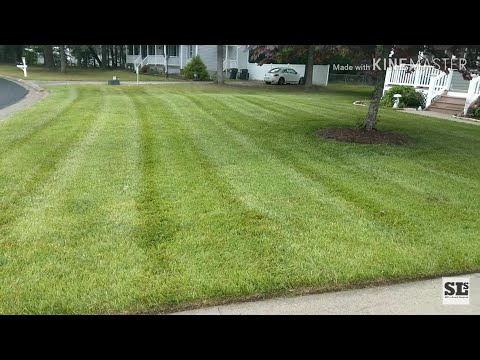 Mowing in the Rain - How to Mow Wet Grass!