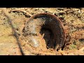 Most Unexpectedly! Find &amp; Catch a lot of Catfish in Underground of Dry Lake in Dry Season