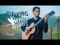Daniel padim  flying with white wings