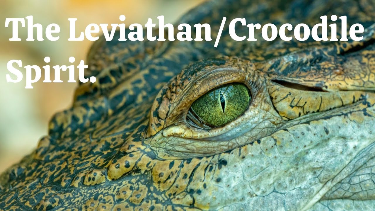 THE LEVIATHAN/CROCODILE SPIRIT.