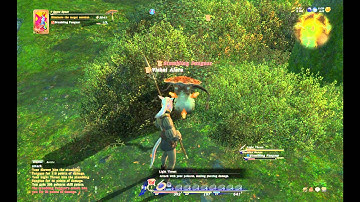 Final Fantasy 14 Lancer Gameplay