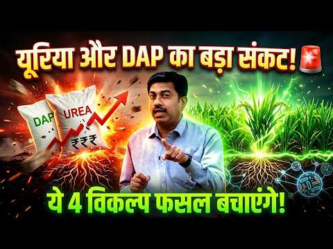 Kharif Season 2026: Can't find DAP and Urea? These 4 options will deliver excellent yields | Fert...