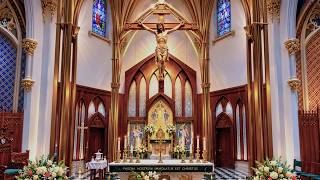 Daily Mass - Wednesday July 15, 2026 @ 12:10 p.m.