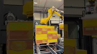 This robot has been operational for several months now and supports the stacking process.