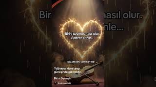 Birini Sevmek 