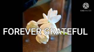 FOREVER GRATEFUL