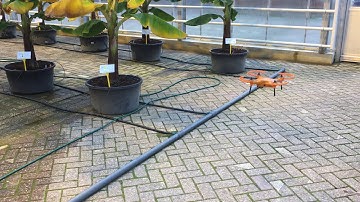Fully automated flying drone monitoring greenhouse banana crop