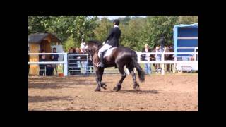 Jesper`s 1.  E-Dressur in  2011 (insgesamt 3. E-Dressur ;-) ).wmv