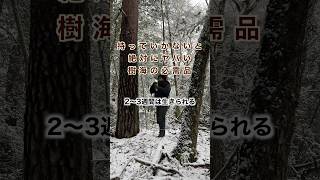 【真冬に遭難】樹海に持ってきて良かったアイテム３選！都市伝説…方位磁石コンパスは狂う？電波は届く？