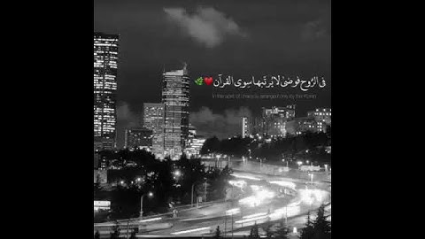 صوته راحه نفسيه.💛😴🕊️. القارئ مؤيد المزين. حالات واتس اب