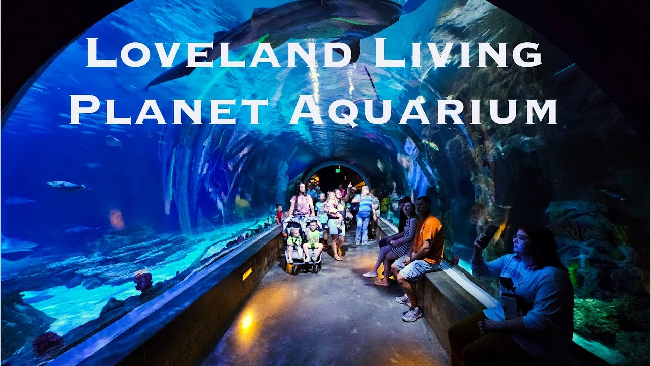 Loveland Living Planet Aquarium in Draper Utah - YouTube