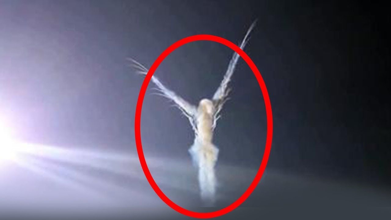 5 Strange Phenomena in the Sky Caught on Camera - YouTube