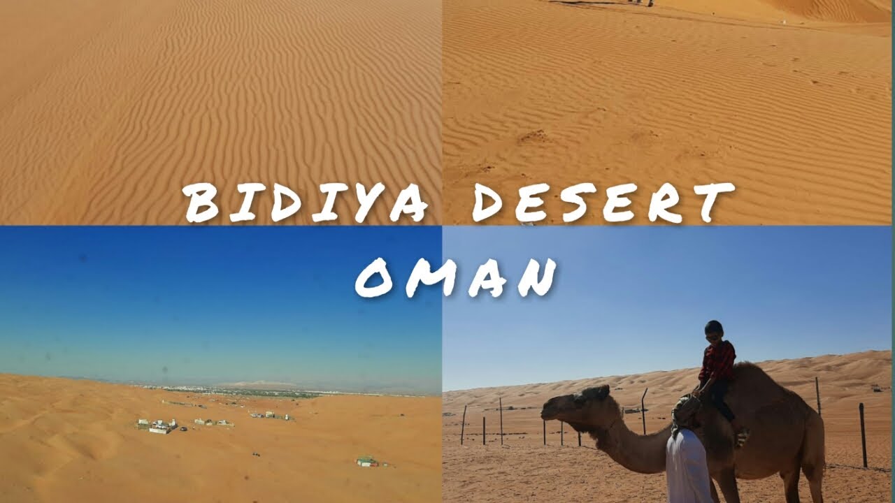 SAND DUNES OF BIDIYA/BIDIYA DESERT/SHARQIYA SANDS/OMAN DESERT/BIDIYA ...
