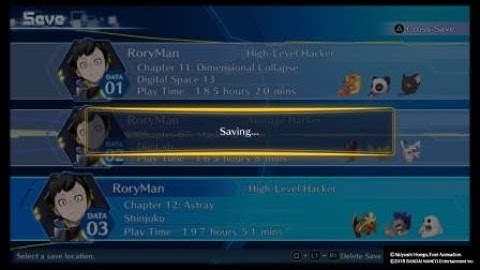 K and Skullsatamon Digimon Hacker