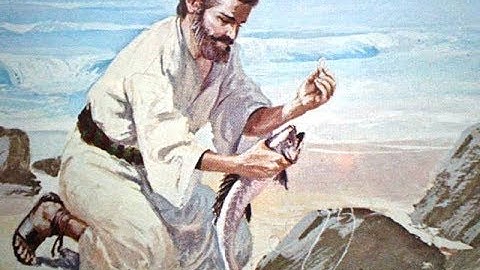 Thứ 2 12-08-2019 ( Tuần 19 Thường Niên)