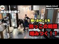 【初来店】1年間シャンプーなし、、抱っこの際は必ず噛みつく!!噛み犬柴犬トリミング