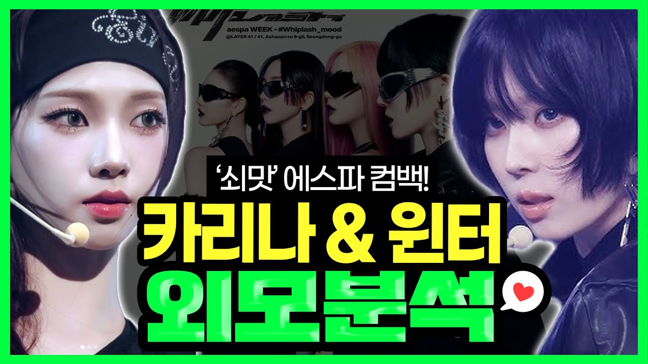성형외과 의사의 에스파 카리나 윈터 외모분석